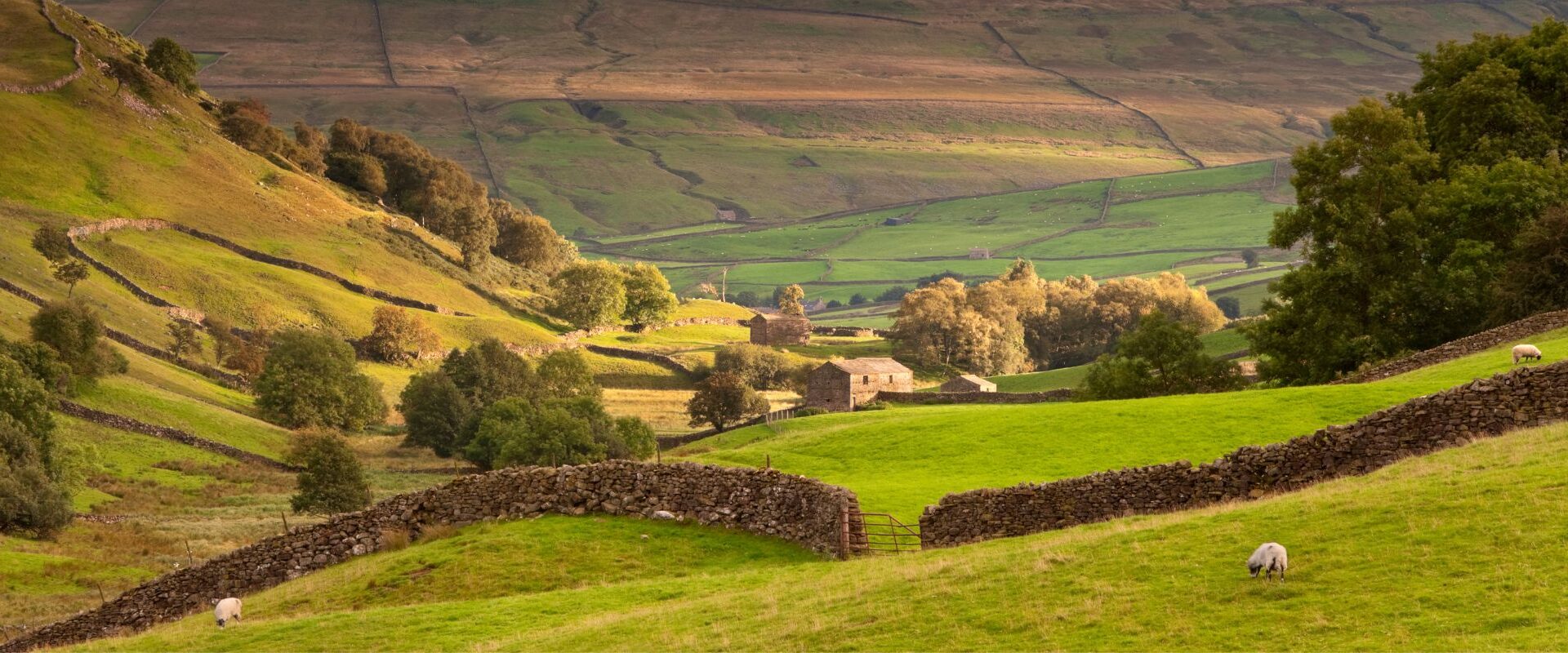 Holiday Cottages in Yorkshire