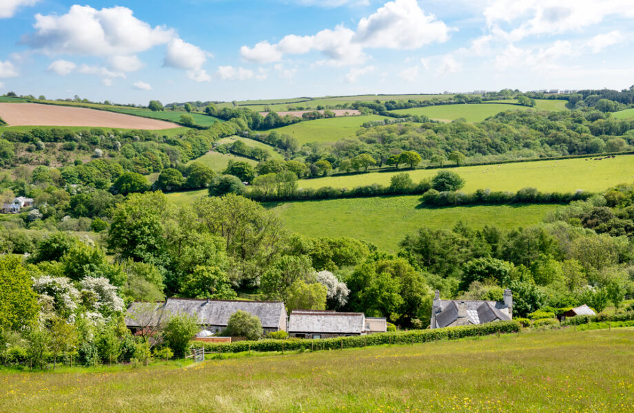 Spice Barn at Old Lanwarnick